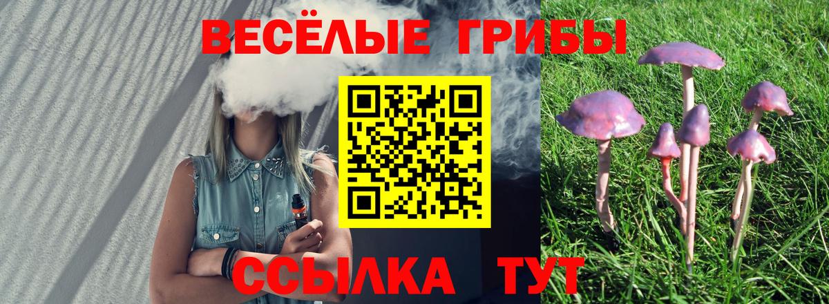 Псилоцибиновые грибы Cubensis  Псилоцибиновые грибы прущие грибы  сколько стоит  Барнаул  Вход с VPN 
